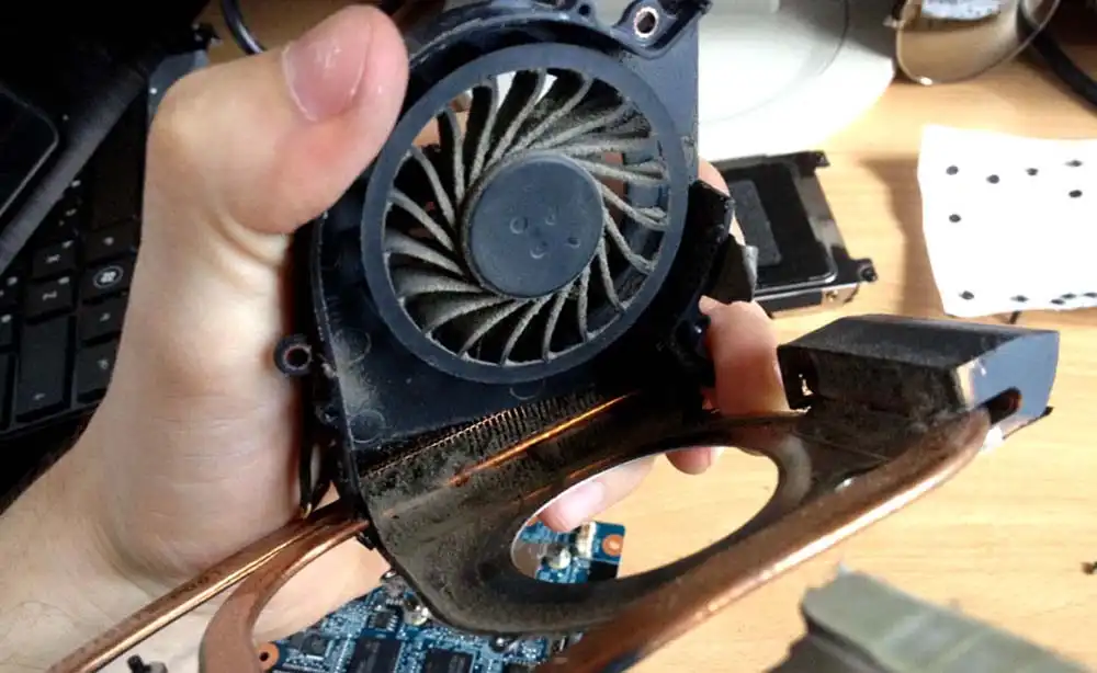 Чистка ноутбука HP от пыли в Ломоносове | Замена термопасты