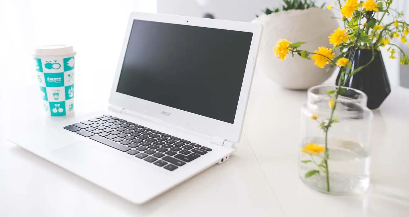 Ремонт ноутбуков Acer в Ломоносове