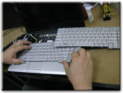 Ремонт клавиатуры на ноутбуке Toshiba в Ломоносове